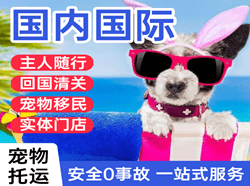 南通机场托运国际宠物托运 【国